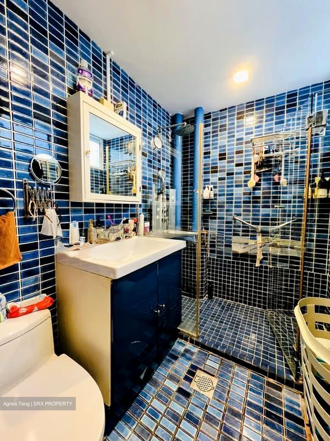 Hillcrest Arcadia (D11), Condominium #544131811